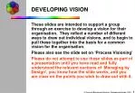 DEVELOPING VISION - slide 1