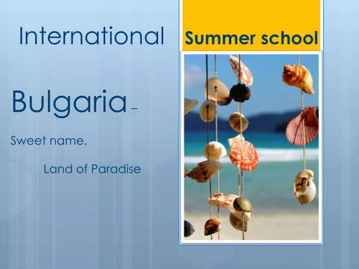international summer school