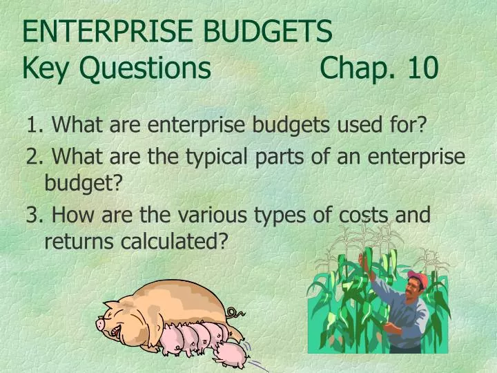 enterprise budgets key questions chap 10