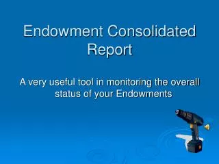 Endowment Consolidated Report