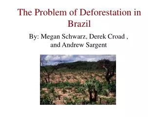 The Problem of Deforestation in Brazil