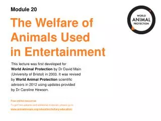 The Welfare of Animals Used in Entertainment