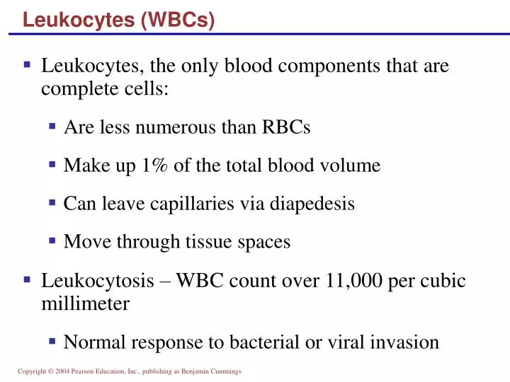 leukocytes wbcs