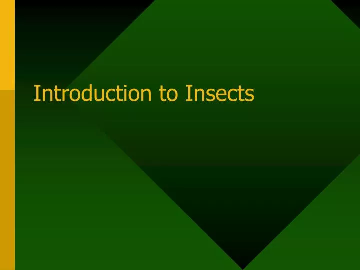 introduction to insects