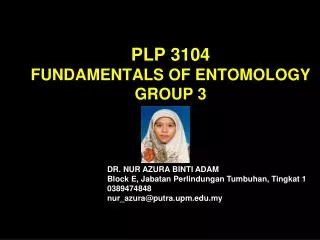 PLP 3104 FUNDAMENTALS OF ENTOMOLOGY GROUP 3