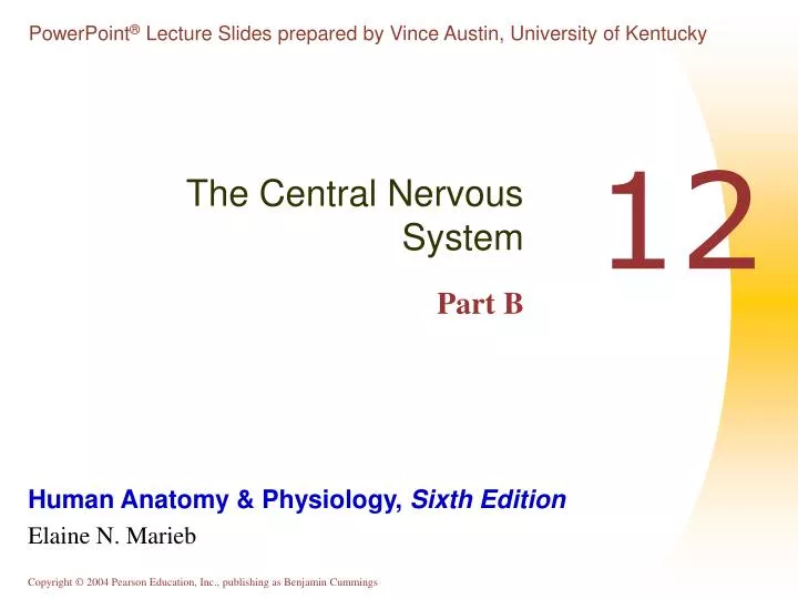 the central nervous system part b