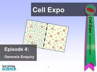 Episode 4: Osmosis Enquiry