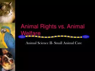 Animal Rights vs. Animal Welfare