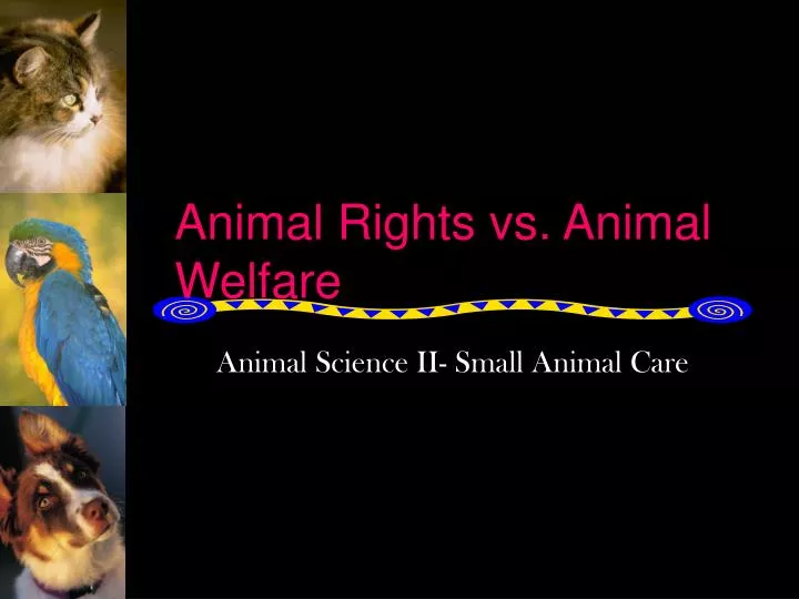 animal rights vs animal welfare