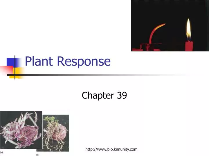 plant response