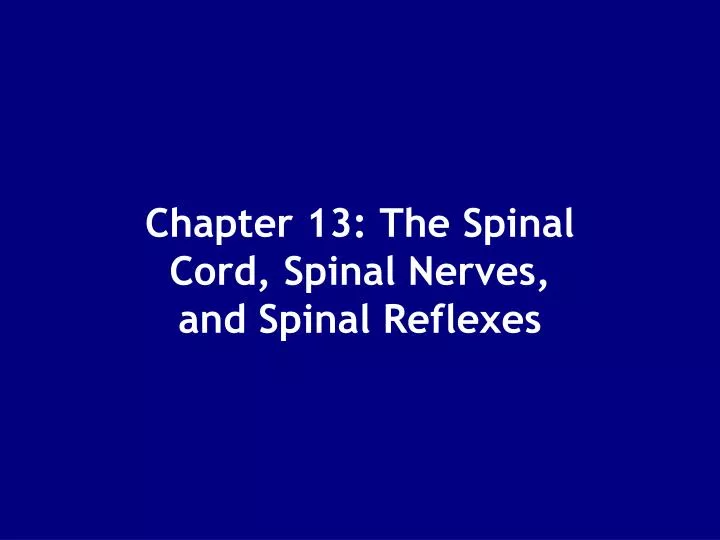 chapter 13 the spinal cord spinal nerves and spinal reflexes