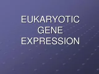 EUKARYOTIC GENE EXPRESSION