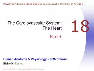 The Cardiovascular System: The Heart Part A