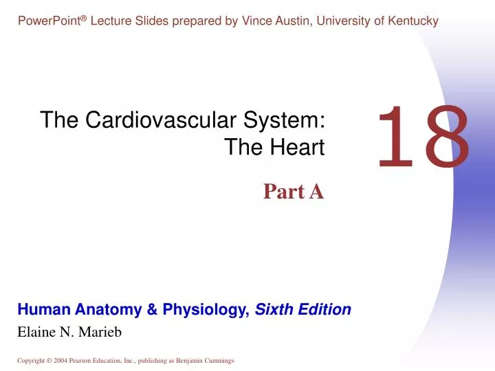 the cardiovascular system the heart part a