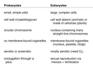 Prokaryotes Eukaryotes small, simple cells			large, complex cells cell wall of peptidoglycan		cell wall absent (animals)