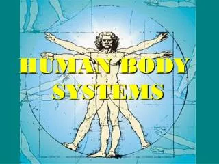HUMAN BODY SYSTEMS