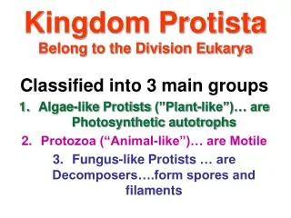 Kingdom Protista Belong to the Division Eukarya