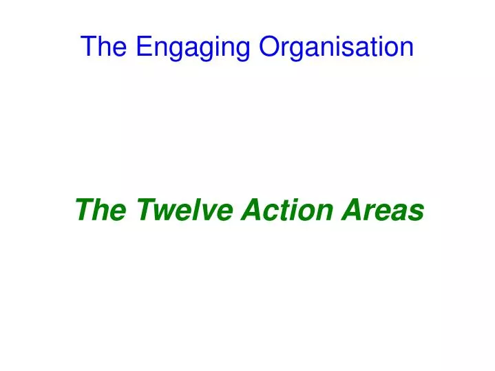 the twelve action areas