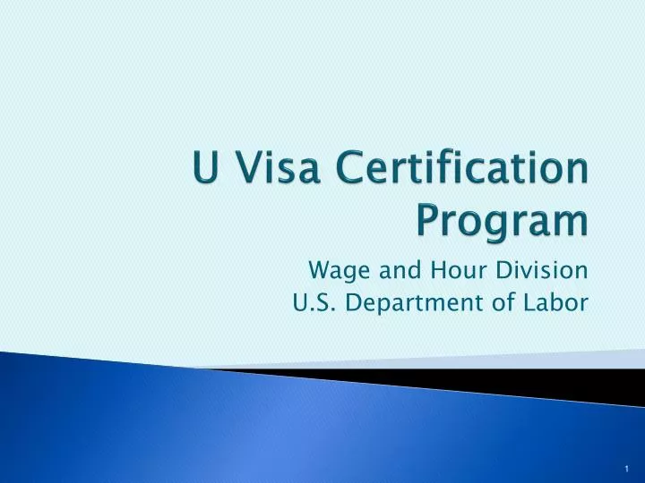 u visa certification program