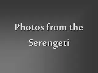 Photos from the Serengeti