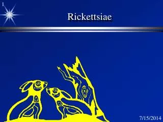 Rickettsiae