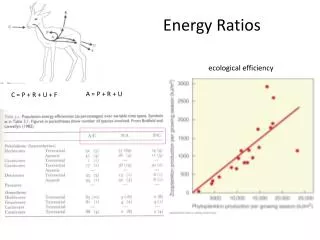 Energy Ratios