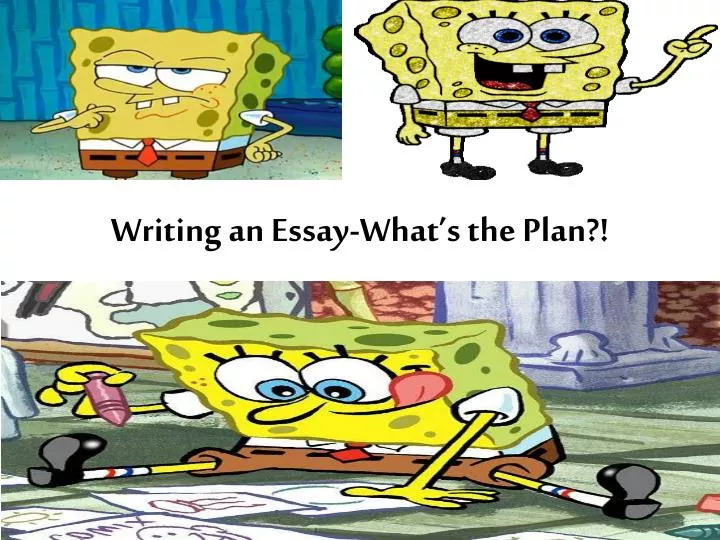 writing an essay what s the plan
