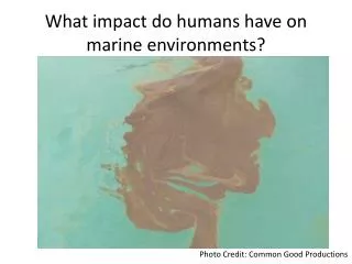 What impact do humans have on marine environments?