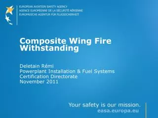 Composite Wing Fire Withstanding