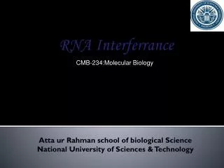 RNA Interferrance