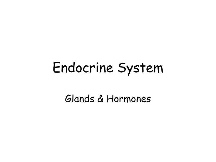 endocrine system