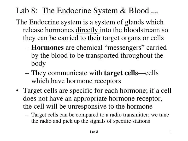 lab 8 the endocrine system blood rev 3 11