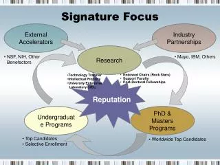 signature focus