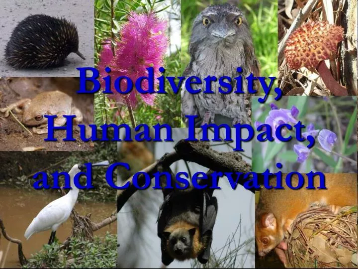 biodiversity human impact and conservation