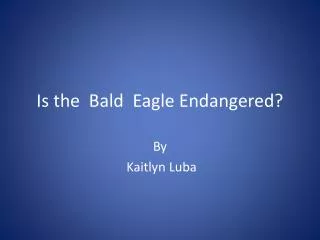 Is the Bald Eagle Endangered?