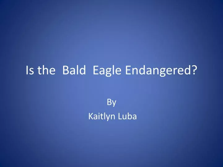 is the bald eagle endangered