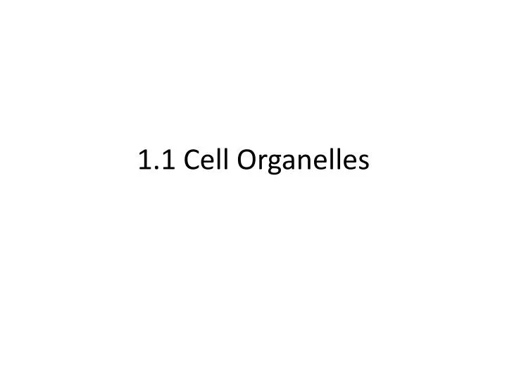 1 1 cell organelles