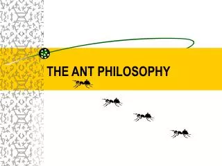 THE ANT PHILOSOPHY