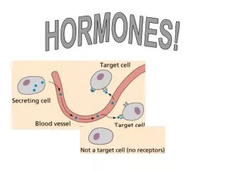 HORMONES!