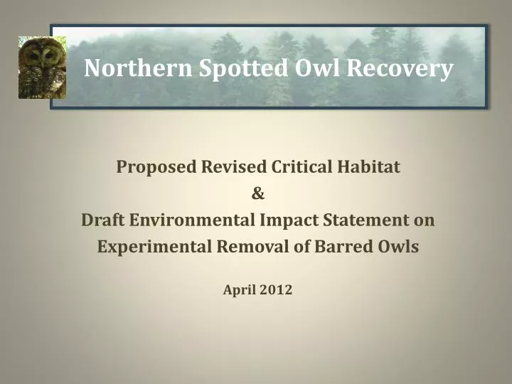 northern spotted owl recovery