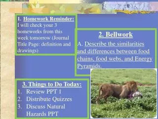 2. Bellwork A. Describe the similarities and differences between food chains, food webs, and Energy Pyramids.