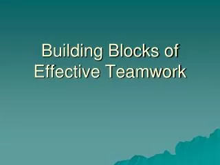 Building Blocks of Effective Teamwork