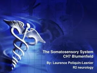 The Somatosensory System CH7 Blumenfield
