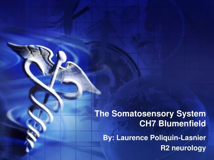 the somatosensory system ch7 blumenfield