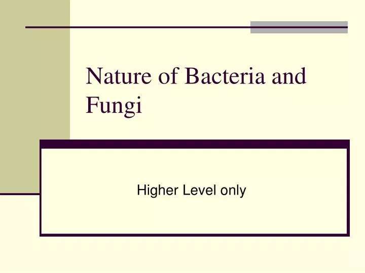 nature of bacteria and fungi