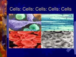 Cells: Cells: Cells: Cells: Cells