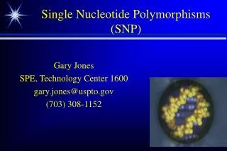 Single Nucleotide Polymorphisms (SNP)