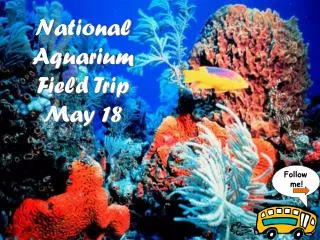 National Aquarium Field Trip May 18