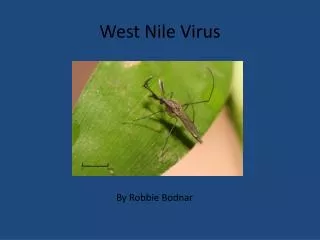 West Nile Virus