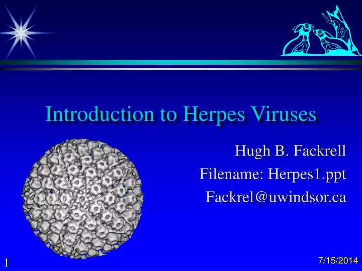 introduction to herpes viruses